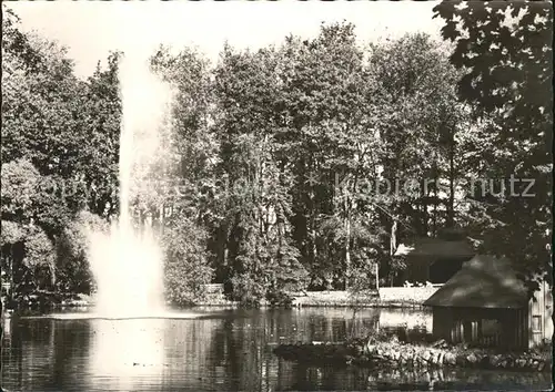 Zschopau Schloss Wildeck Teich mit Fontaine Kat. Zschopau