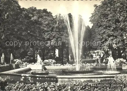 Bad Salzuflen Park Fontaene Kat. Bad Salzuflen