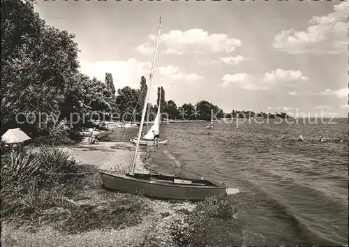 Markelfingen Campingplatz Willam Bodensee Kat. Radolfzell am Bodensee