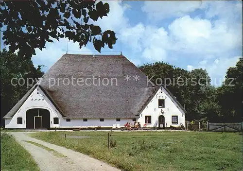 Tating Eiderstedt Haubarg Hamkens Reetdachhaus Kat. Tating