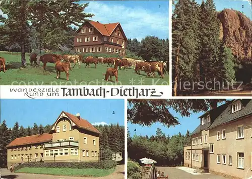 Tambach Dietharz Berghotel Ebertswiese Falkenstein Rodebachmuehle Waldbaude Kat. Tambach Dietharz