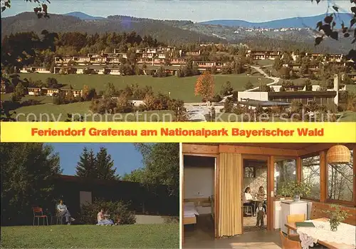 Grafenau Niederbayern Nationalpark Bayerischer Wald Kat. Grafenau