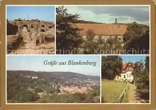 Blankenburg Harz Burgruine Regenstein Kloster Michaelstein  Kat. Blankenburg