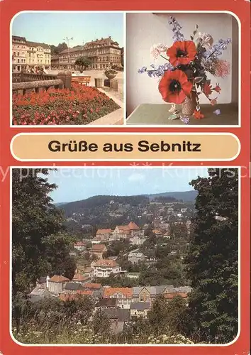 Sebnitz Markt Exponat VEB Kunstblume Sebnitz  Kat. Sebnitz