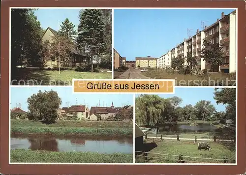 Jessen Elster Kinderkurheim SdF Teilansicht Tierpark Kat. Jessen