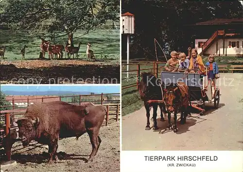Hirschfeld Zwickau Tierpark Hirschfeld Damwildgehege Wisent Tip Pony Rundfahrt Kat. Hirschfeld Zwickau