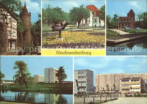 Neubrandenburg Stadtpark Treptower Tor Schwanenteich Erich Weinert und Friedrich Wolf Oberschule Kat. Neubrandenburg