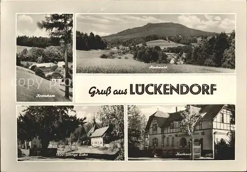 Lueckendorf Kurhaus 1500 jaehrige Eiche Hochwald Kat. Kurort Oybin