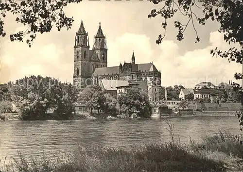 Magdeburg Dom  Kat. Magdeburg