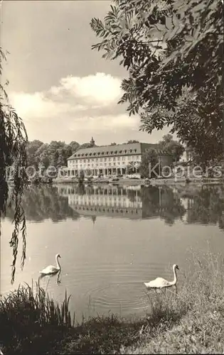 Bad Salzungen Kurhaus am Burgsee Schwaene Kat. Bad Salzungen