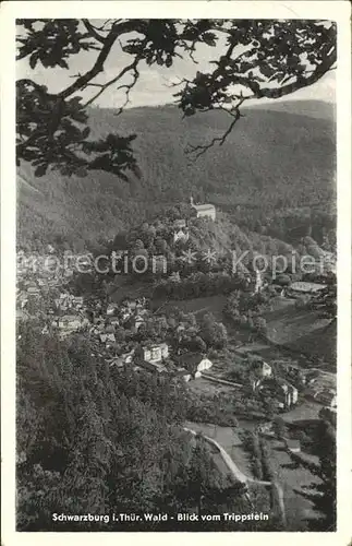 Schwarzburg Thueringer Wald Panorama Blick vom Trippstein Kat. Schwarzburg