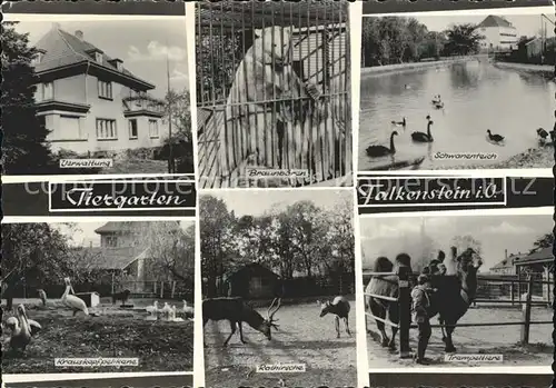 Falkenstein Vogtland Tiergarten Braunbaeren Schwanenteich Trampeltier Rothirsch Pelikan Verwaltung Handabzug Kat. Falkenstein Vogtland