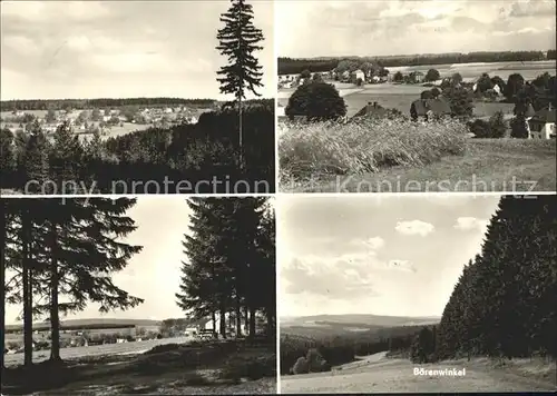 Wernitzgruen Panorama Sommerfrische Baerenwinkel Kat. Erlbach Vogtland