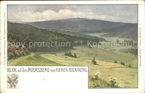Eibenstock Panorama Blick vom Auersberg Kleines Bockautal Kuenstlerkarte Kat. Eibenstock