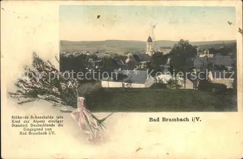 Bad Brambach Ortsansicht mit Kirche Blumenstrauss Schneeheide Kat. Bad Brambach