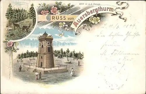 Eibenstock Auersbergturm Aussichtsturm Rehe Waldpartie Reichspost Litho Kat. Eibenstock