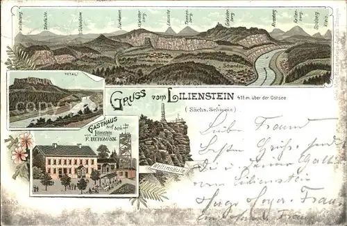 Schandau Bad Panorama Elbsandsteingebirge Lilienstein Gasthaus Wettinsaeule Reichspost Litho Kat. Bad Schandau