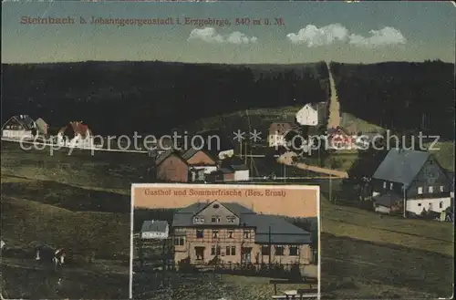 Steinbach Johanngeorgenstadt Ortsansicht Gasthof und Sommerfrische Erzgebirge Kat. Johanngeorgenstadt
