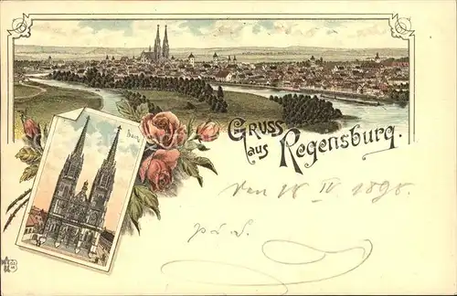 Regensburg Panorama Dom Litho Kat. Regensburg