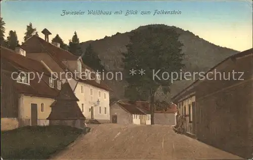 Zwiesel Niederbayern Zwieseler Waldhaus mit Blick zum Falkenstein Kat. Zwiesel