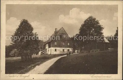 Lauter Schwarzenberg Erzgebirge Waldwirtshaus Conradswiese Morgenleithe Kupfertiefdruck Kat. Lauter Sachsen