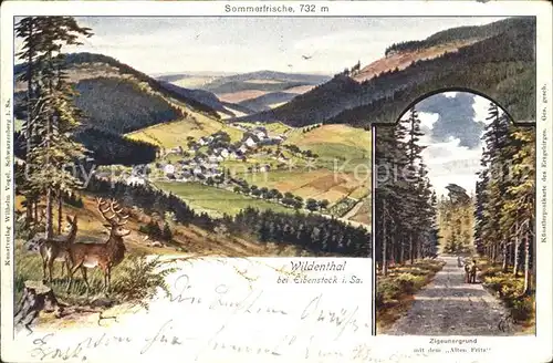 Wildenthal Eibenstock Panorama Sommerfrische Zigeunergrund Wild Kuenstlerkarte