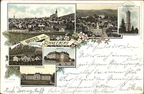 Schneeberg Erzgebirge Ortsansicht mit Kirche Seminar Gymnasium Keilbergturm Gleesberg Litho Kat. Schneeberg