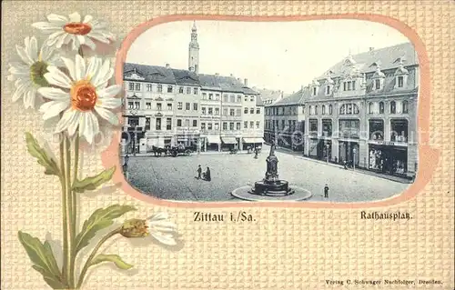 Zittau Rathausplatz Kat. Zittau