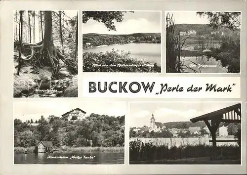 Buckow Maerkische Schweiz Kinderheim Weisse Taube Wurzelfichte / Buckow Maerkische Schweiz /Maerkisch-Oderland LKR