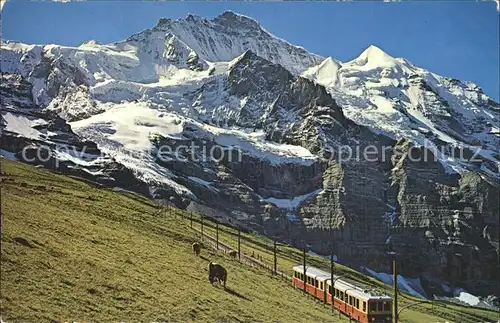 Scheidegg BE Jungfraubahn Jungfrau / Scheidegg /Rg. Grimmialp