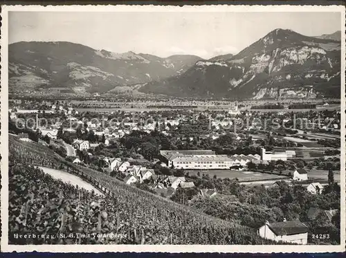 Heerbrugg Panorama mit Vorarlbergen / Heerbrugg /Bz. Rheintal