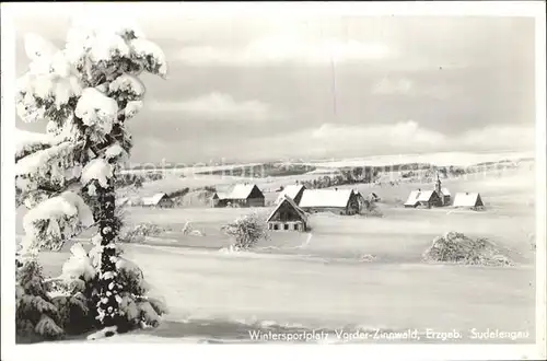 Zinnwald-Georgenfeld Teilansicht / Altenberg /Saechsische Schweiz-Osterzgebirge LKR