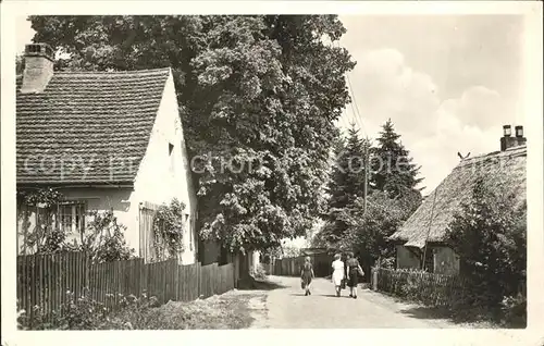 Ferch Dorfstrasse / Schwielowsee /Potsdam-Mittelmark LKR