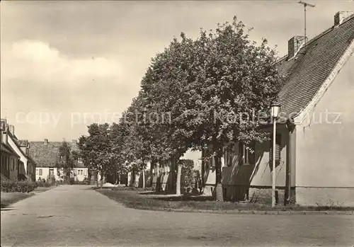 Guesen Mozartstrasse / Elbe-Parey /Jerichower Land LKR