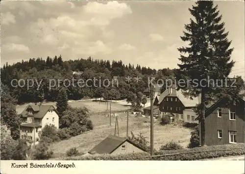 Baerenfels Erzgebirge Teilansicht / Altenberg /Saechsische Schweiz-Osterzgebirge LKR