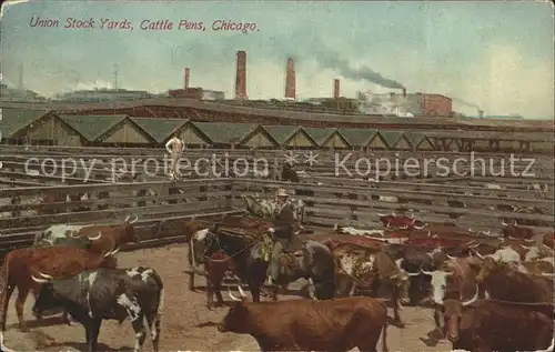Chicago Illinois Union Stock Yards Cattle Pens / Chicago /