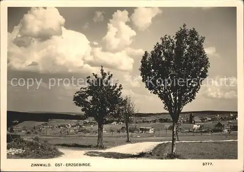 Zinnwald-Georgenfeld  / Altenberg /Saechsische Schweiz-Osterzgebirge LKR