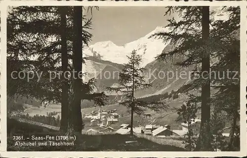 Saas Fee Alphubel und Taeschhorn Kat. Saas Fee