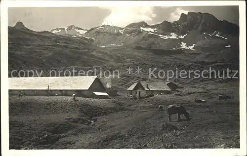 Spitzmeilen Alp Fursch Kuehe Kat. Spitzmeilen