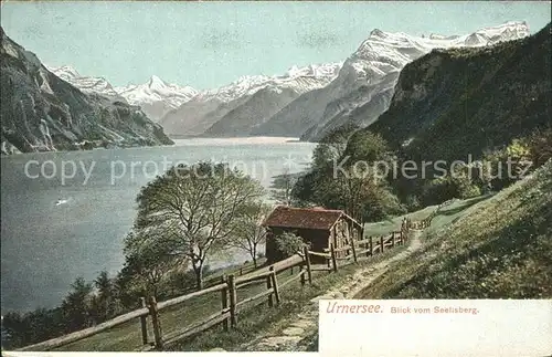 Urnersee Blick vom Seelisberg Kat. Brunnen