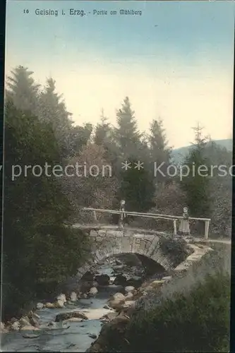 Geising Erzgebirge Partie am Muehlberg Brueckchen Kat. Geising Osterzgebirge