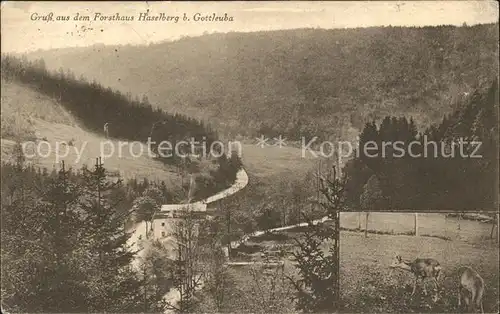 Bad Gottleuba Berggiesshuebel Forsthaus Haselberg Kat. Bad Gottleuba Berggiesshuebel