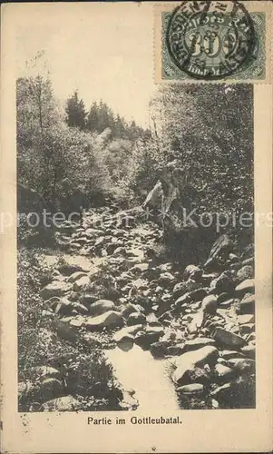 Bad Gottleuba Berggiesshuebel Partie im Gottleubatal Kat. Bad Gottleuba Berggiesshuebel