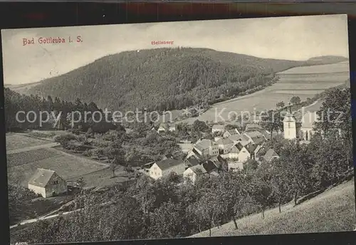 Bad Gottleuba Berggiesshuebel mit Hellaberg Kat. Bad Gottleuba Berggiesshuebel