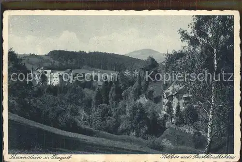 Lauenstein Erzgebirge Schloss und Buchhaendlerheim Kat. Geising