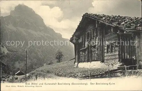 Seelisberg UR Grand Hotel und Kuranstalt Seelisberg mit Seelisberg Kulm Kat. Seelisberg