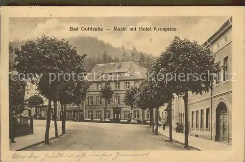 Bad Gottleuba Berggiesshuebel Markt mit Hotel Kronprinz Kat. Bad Gottleuba Berggiesshuebel