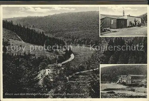 Bad Gottleuba Berggiesshuebel Forsthaus Haselberg Nach em Unwetter Notbau Kat. Bad Gottleuba Berggiesshuebel