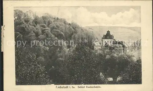 Liebstadt Schloss Kuckuckstein Kat. Liebstadt