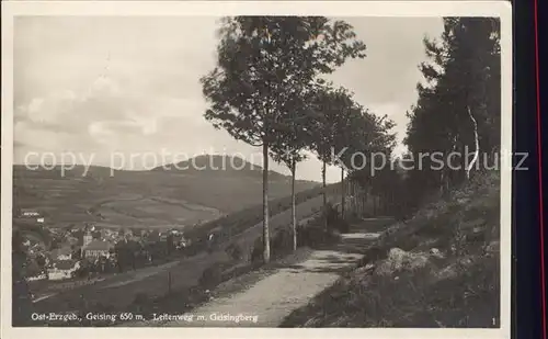 Geising Erzgebirge Leitenweg Geisingberg Kat. Geising Osterzgebirge